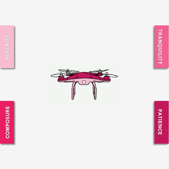 Drones