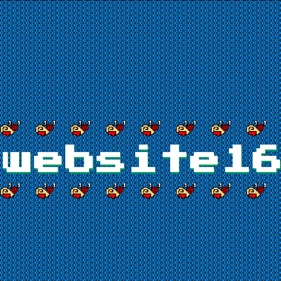 Website 16